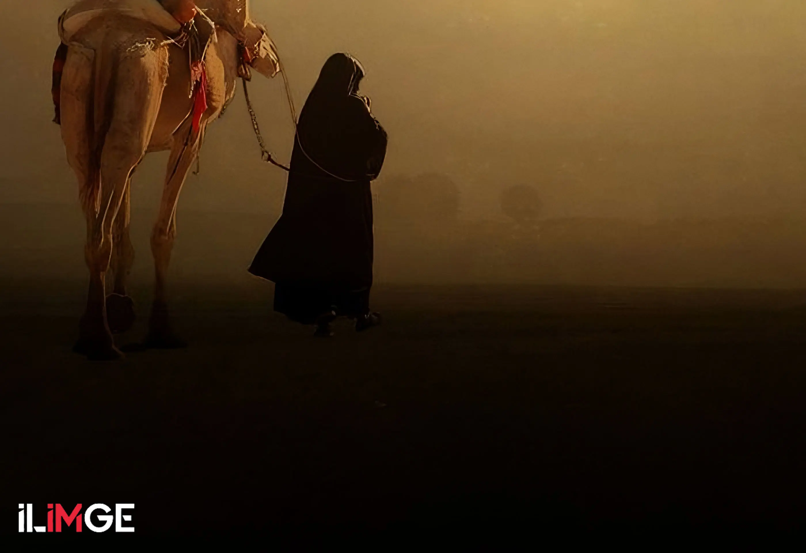 İslam Devletlerinde Haberleşme: Berid Teşkilatı