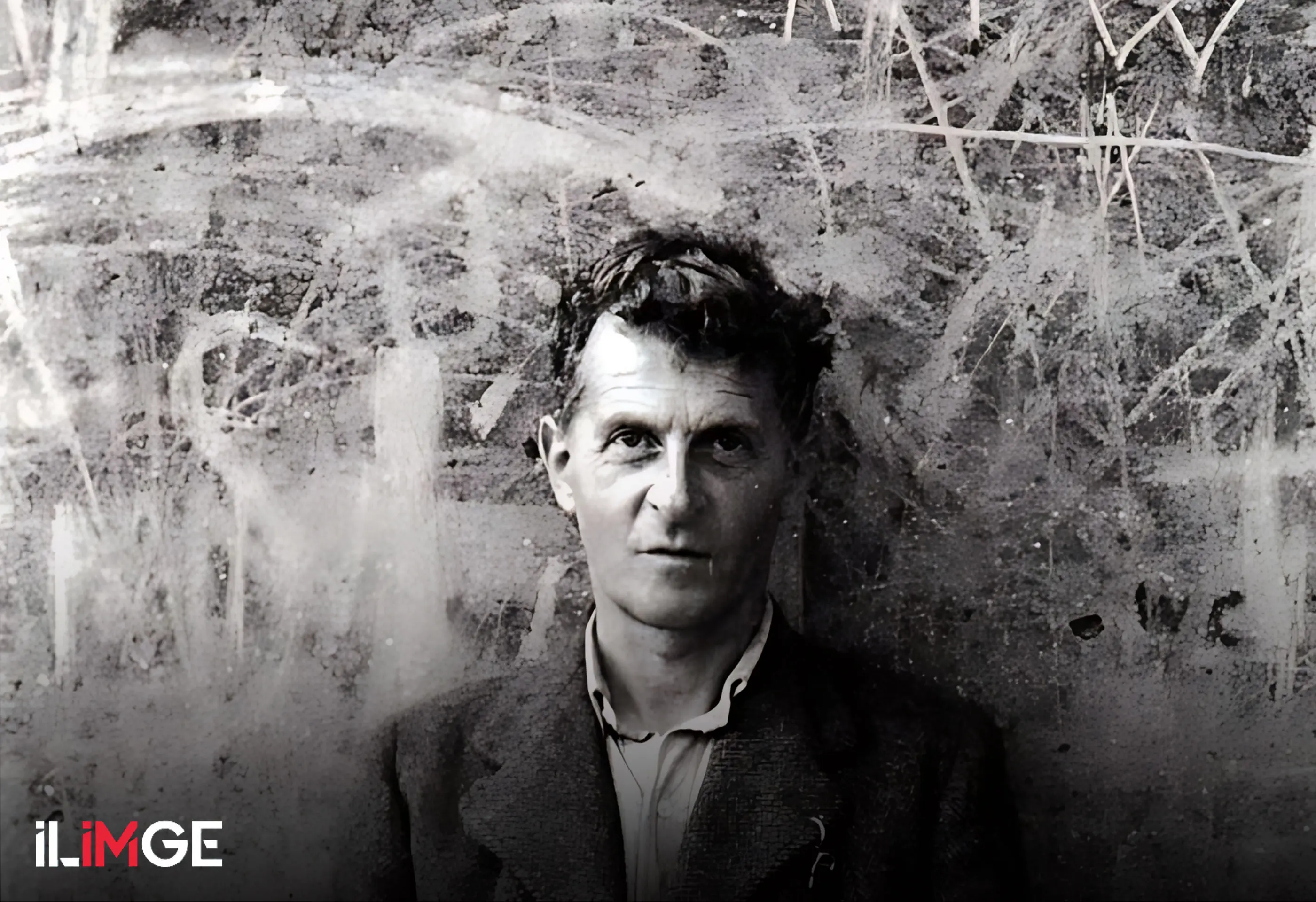 Ludwig Wittgenstein ve Dil Teorisi