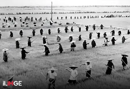 1958 Büyük Çin Kıtlığı