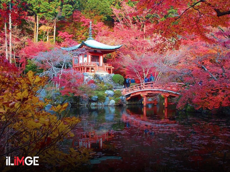 Japon Bahçelerinde Doğanın Huzurunu Kucaklamak