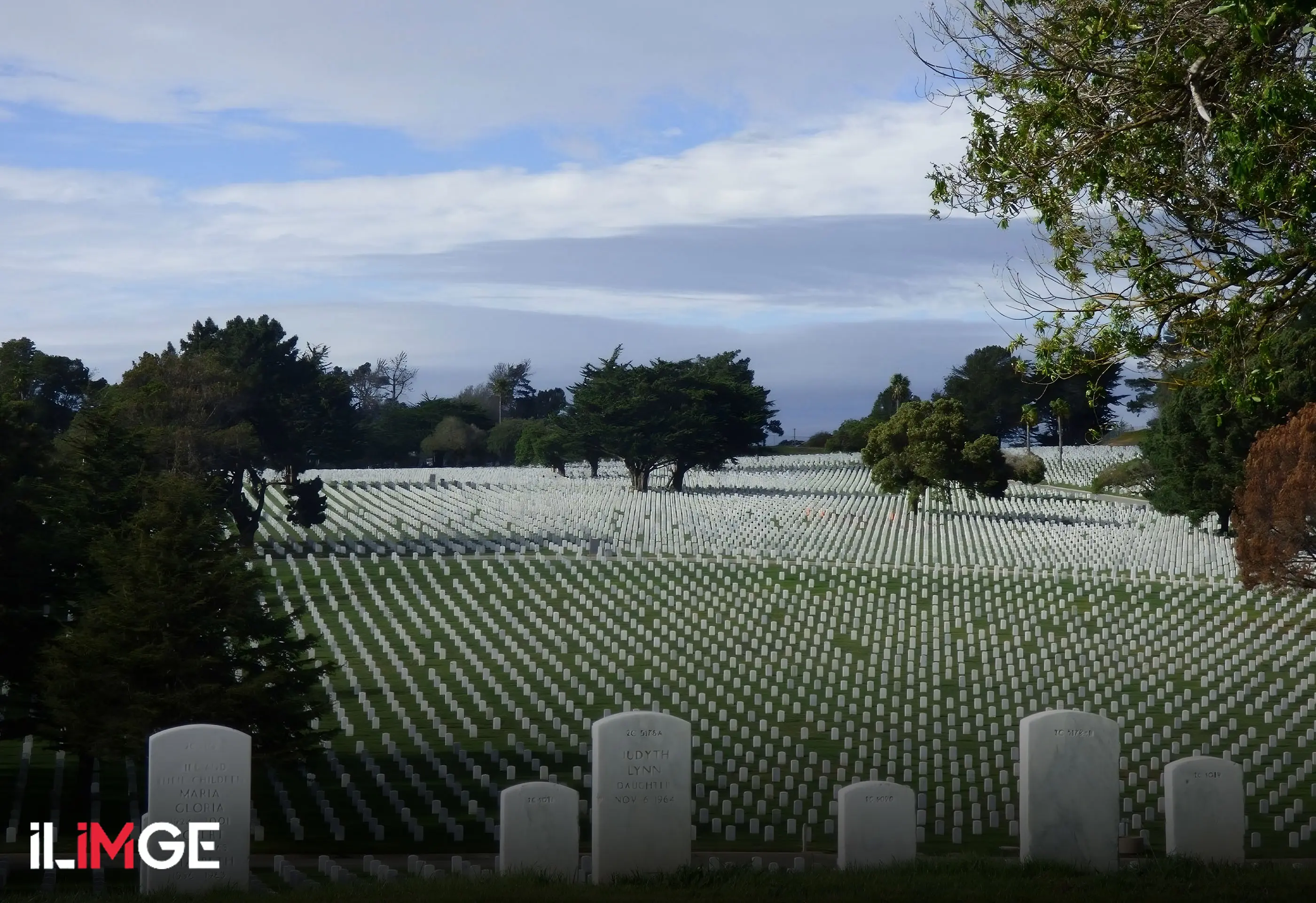 Ölümün Yaşamı Yendiği Şehir: Colma
