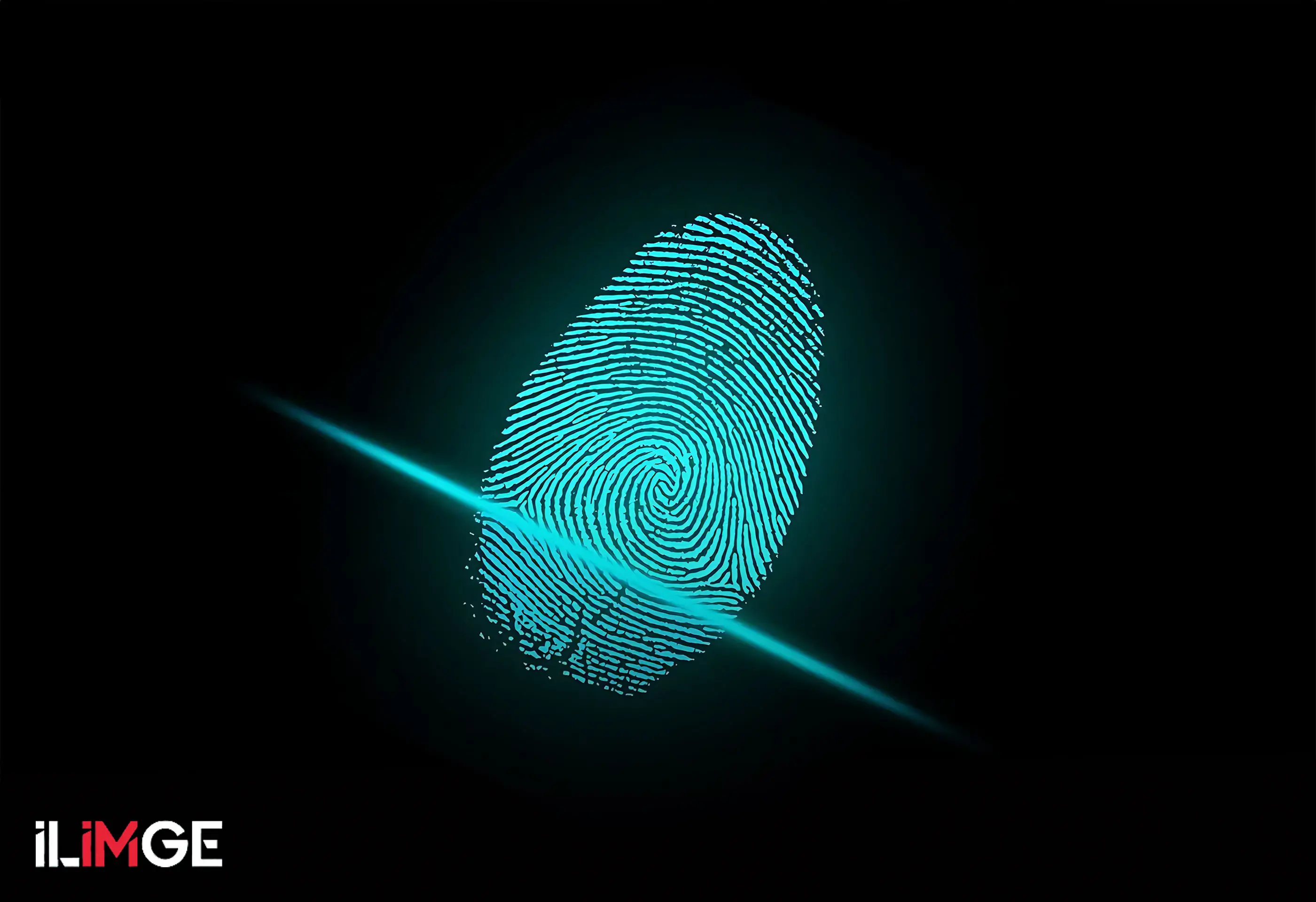 Parmak İzinin Kısa Tarihi