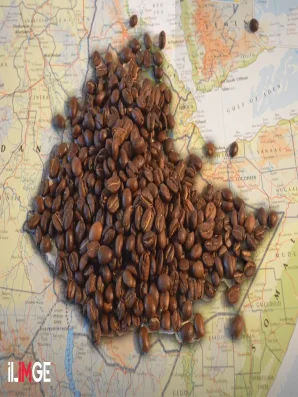 Kahvenin Dünya Tarihine Etkileri