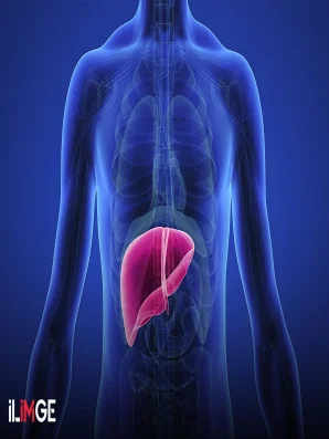 Duyguların Yeri ve Ruhun Merkezi: Karaciğer