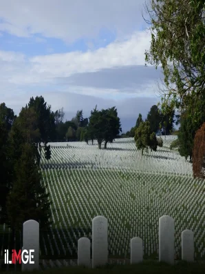 Ölümün Yaşamı Yendiği Şehir: Colma