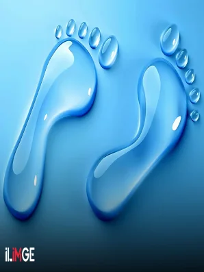 Sürdürülebilir Bir Gelecek İçin Su Ayak İzini Anlamak