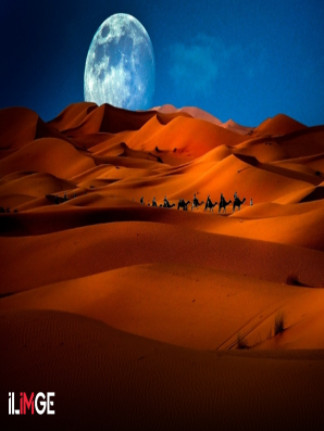 6 Dil Bilen Dâhi Sahabe: Zeyd bin Sabit