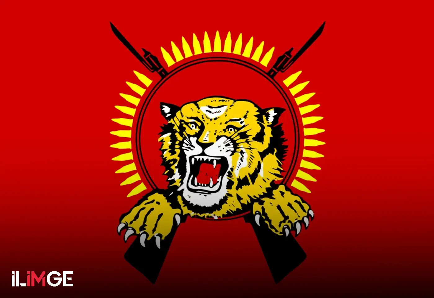 Sri Lanka'da Ortaya Çıkan Örgüt: Tamil Kaplanları