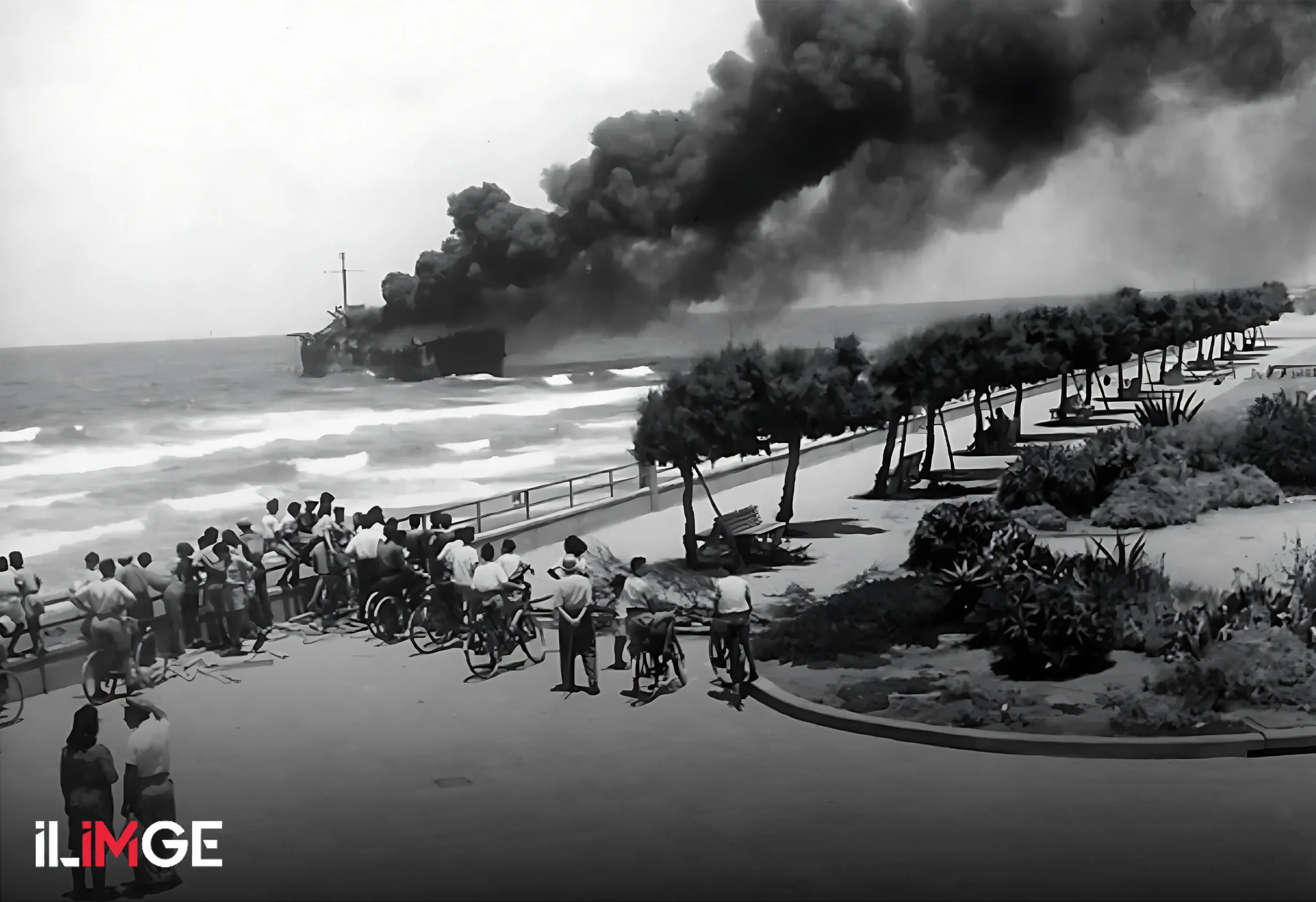 Yahudileri Vuran Yahudiler: Altalena Olayı